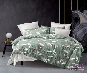 y5d2423 (1) y5d2423 (1)