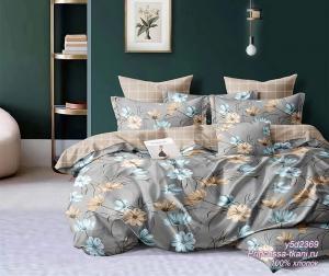 y5d2369 (1) (1) y5d2369 (1) (1)