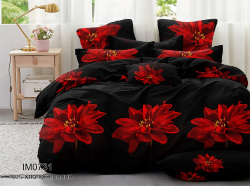 КПБ Поплин Арт. IM0731